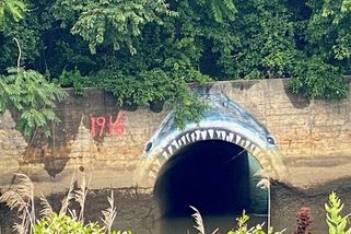 Skočil do říčky zachránit chlapce a žralok je zabil oba. Za 60 let o tom Spielberg natočil Čelisti - Médium.cz